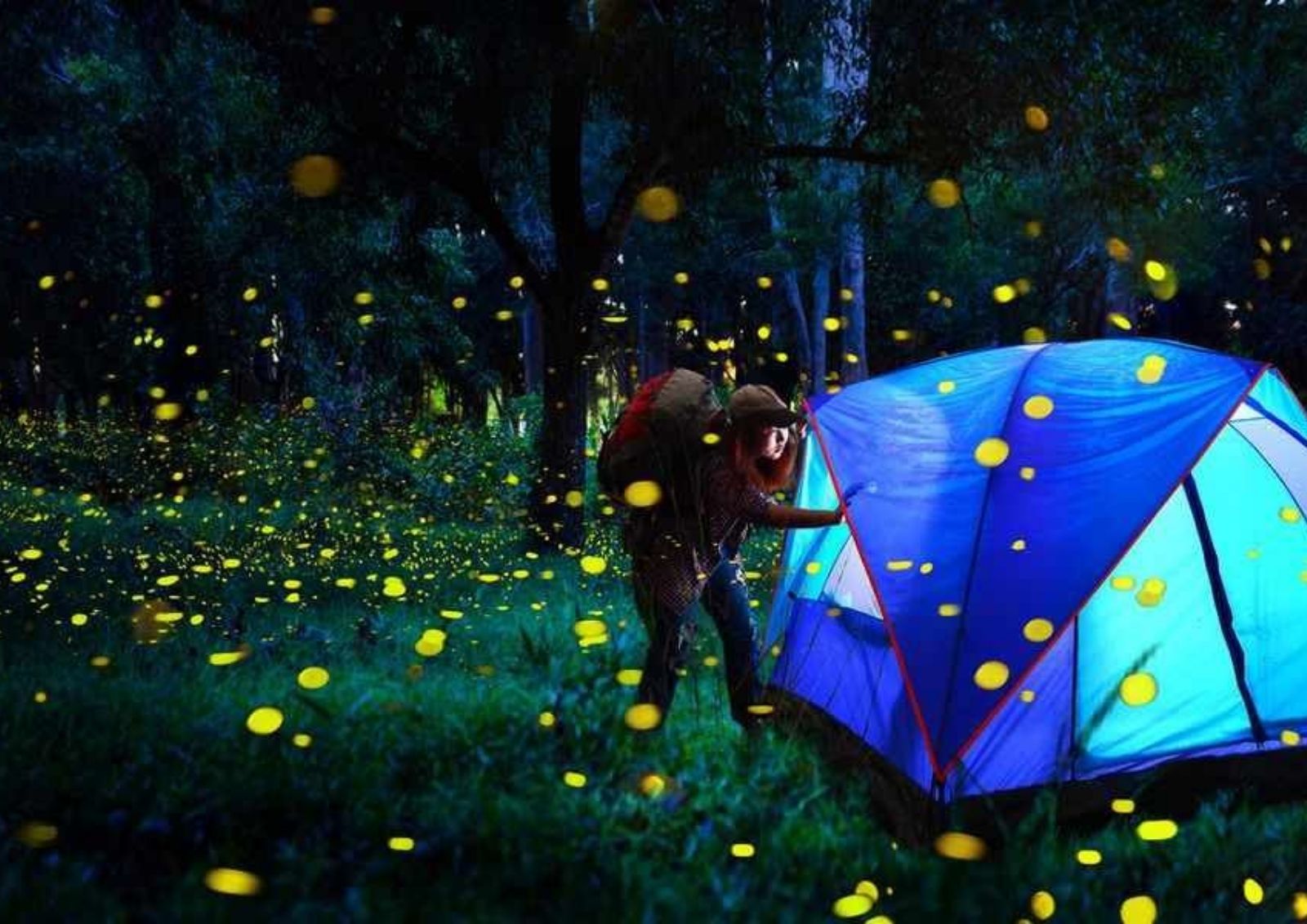 Fireflies Camping Bhandardara